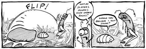 The Bug Insects Comic Strips by Matthew James Taylor