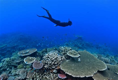 Top Ten Lesser-Known Dive Sites to Explore on the Great Barrier Reef