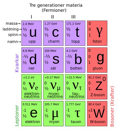 Fermion – Wikipedia | Elementary particle, Physics, Astrophysics