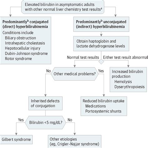 Elevated Bilirubin Levels in Asymptomatic Adults | Gastroenterology ...