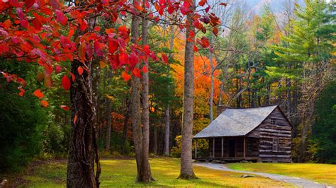 cabin #4k wallpaper (3840x2160) Autumn Wallpaper Hd, Frühling Wallpaper ...