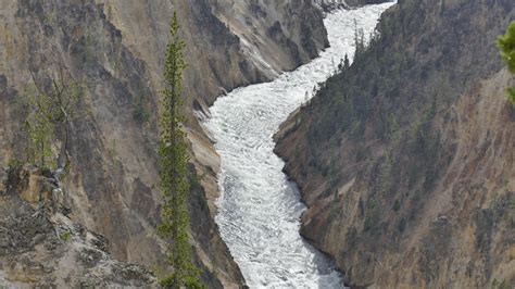 Artist Point Trail Yellowstone National Park | Yellowstone national ...