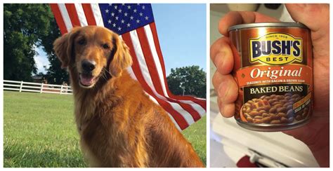 The Dog Who Played Duke In Bush's Baked Beans Commercials Died