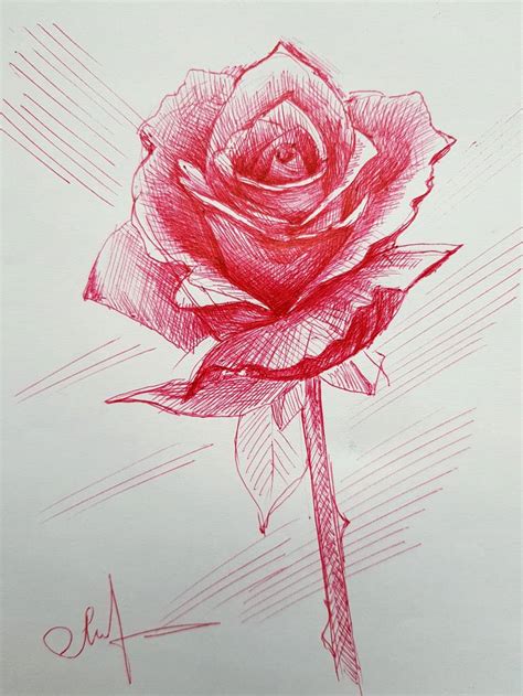 Rose red pen drawing Drawing by Tigran Movsisyan | Saatchi Art