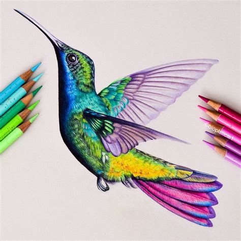 Original Artwork page 1 | Hummingbird drawing, Color pencil art ...