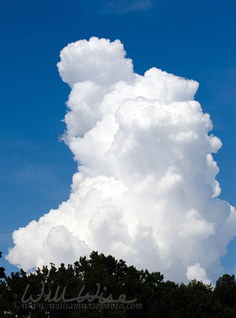 Cumulonimbus storm cloud Georgia - WILLIAM WISE PHOTOGRAPHY