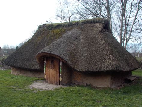 Family tree online, Petroglyphs art, Iron age