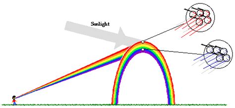 Physics Tutorial: Rainbow Formation