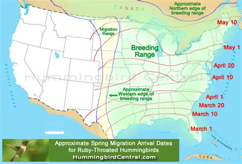 2018 hummingbird spring migration map, 2018 hummingbird sightings ...