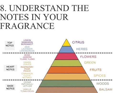 Fragrance wheel strengths chart perfume direct® – Artofit