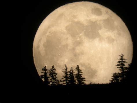 Super moon 2012 | Super moon, Shoot the moon, Full moon photography