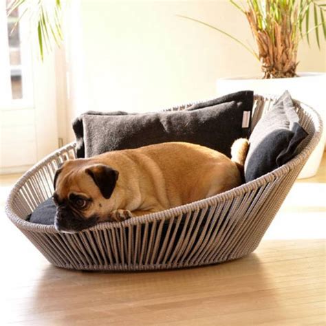 Buying Fancy Dog Beds | Dog Bandanas