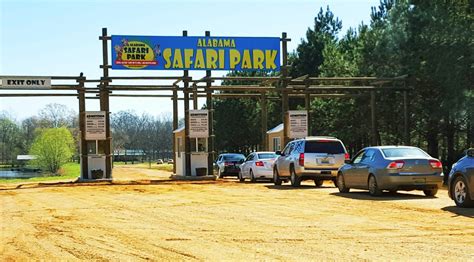 Alabama Safari Park Is A Fun Drive-Thru Safari Attraction