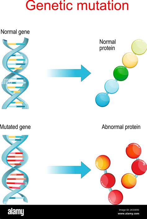 Genetic engineering diagram hi-res stock photography and images - Alamy