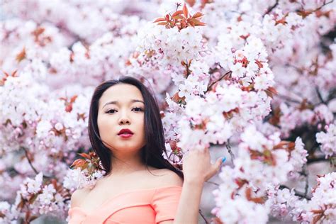 spring sakura cherry blossom fashion portrait asian beauty photo shoot london regents park peach ...