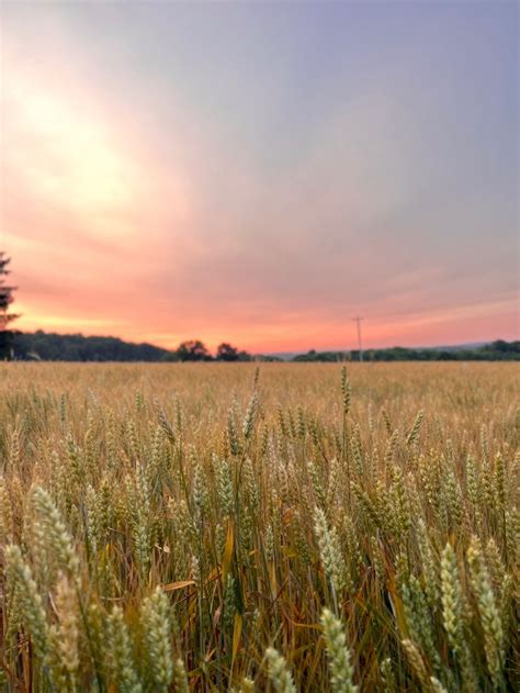 Sunrise Over a Beautiful Country View