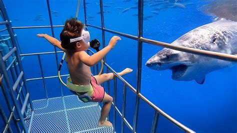 Watch: "Famous, irresponsible" travel blogger parents drop 5-year-old children into shark cage ...