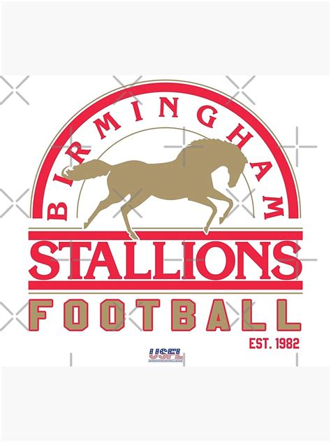 "Birmingham Stallions Football" Poster for Sale by TeeArcade84 | Redbubble