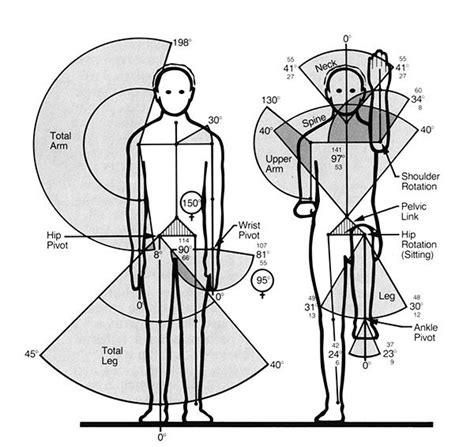 Anthropometry In Architecture Design | Urban Design Lab (2022)