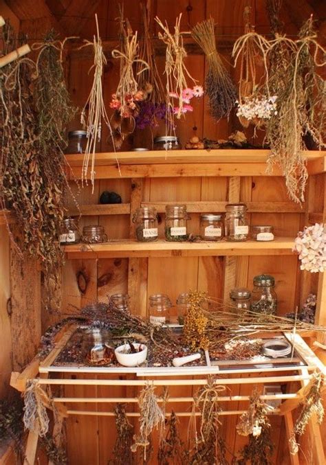 Kitchen Witchery, Herbology, Healing Herbs, Aromatic Herbs, Medicinal Herbs, Drying Herbs ...