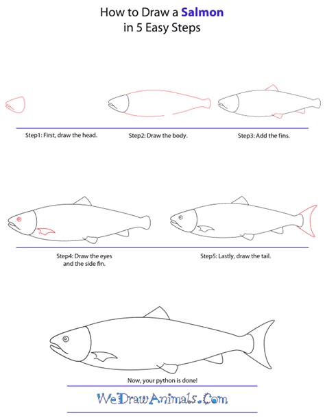 How to Draw a Salmon