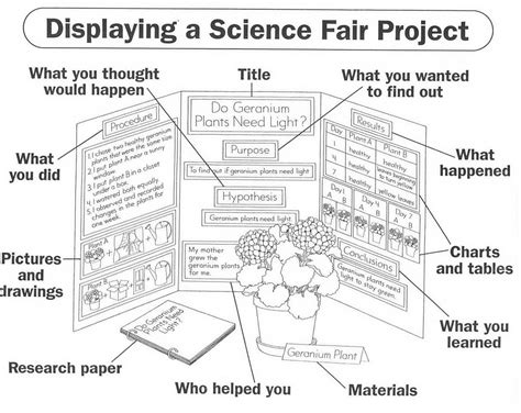 Science Project Steps