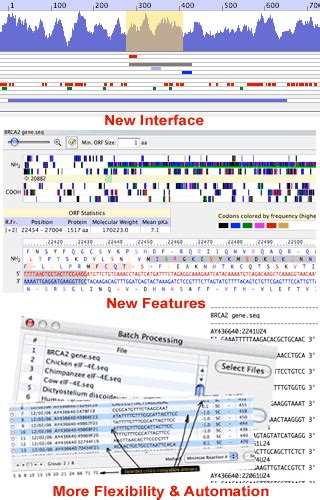 Primer Design with Oligo Primer Analysis Software v. 7