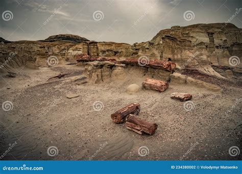 Remains of a Fossilized Tree, Unusual Place on Earth in Bisti Badlands, New Mexico, Usa Stock ...