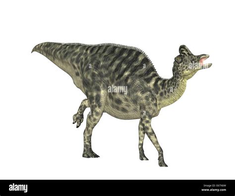 dinosaur Velafrons coahuilensis Stock Photo - Alamy