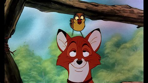 The Fox and the Hound: Screenshots - The Fox and the Hound Photo (38784849) - Fanpop