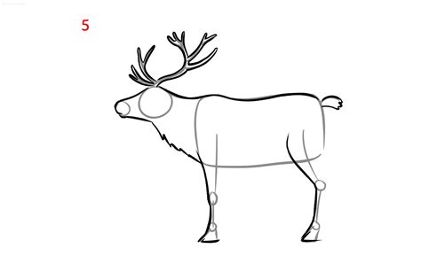 How to draw a Reindeer Reindeer Drawing Ideas