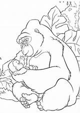 Cute Baby Gorilla Coloring Pages sketch template