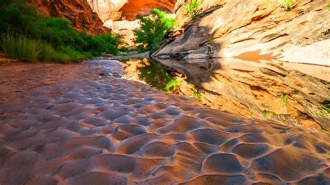 10 Best Hikes in St. George Utah For First Timers to Try