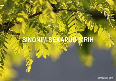 86 Sinonim Sekapur Sirih - Tesaurus Bahasa Indonesia - Samsurijal.com