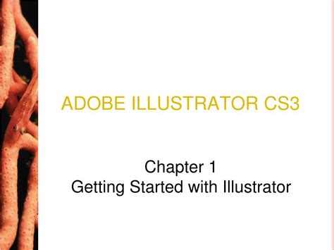 PPT - ADOBE ILLUSTRATOR CS3 PowerPoint Presentation, free download - ID:387922