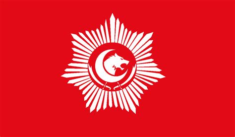 Flag for a Modern Ottoman State : r/vexillology