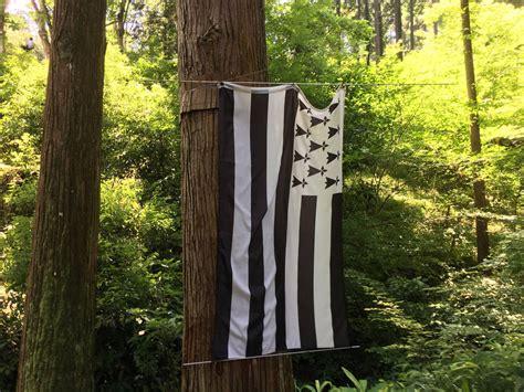 Breton Flag at Parcabout (2) by rlkitterman on DeviantArt