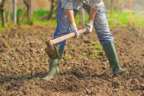 Binage : quelle est la technique pour biner son jardin et à quoi ça sert