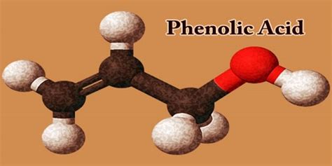 Phenolic Acid - Assignment Point