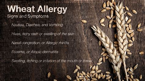 Wheat Allergy shown and explained using medical animation still shot