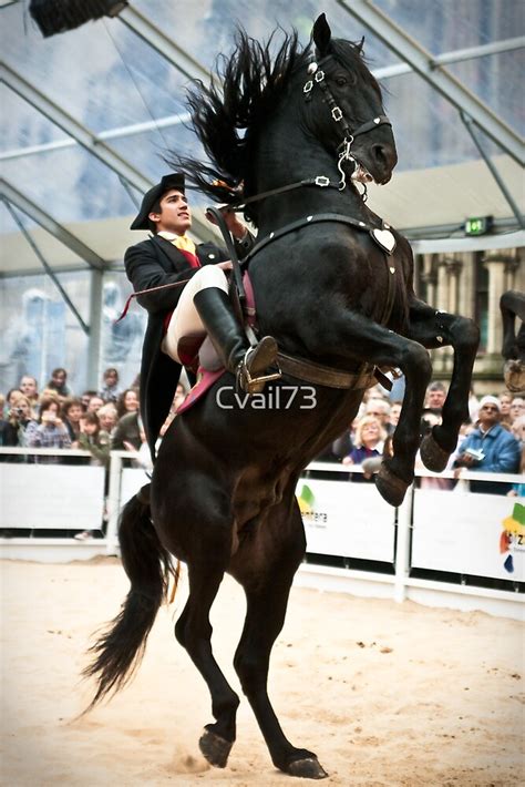 "Zorro's horse?" by Cvail73 | Redbubble