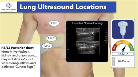 Furuncle Treatment Dog Reliable Reputation | clc.cet.edu