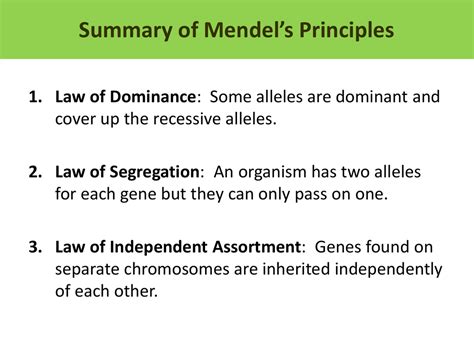 What Are Mendel S Three Laws - cloudshareinfo