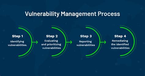 Vulnerability Management Process: more than Detection.