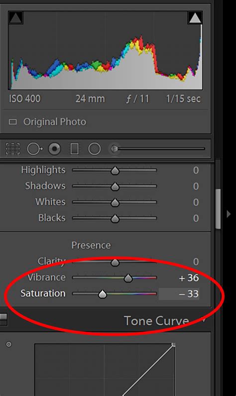 What Is Color Saturation How To Understand And Use It | expertphotography