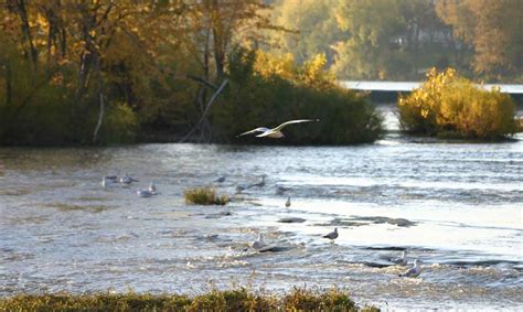 Maumee River - American Rivers