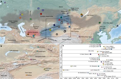 The genomic origins of the Bronze Age Tarim Basin mummies | Nature ...