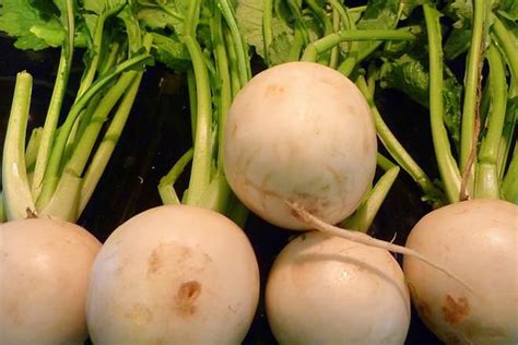 Rutabaga vs Turnip - Difference and Comparison | Diffen