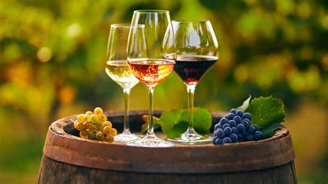 The Secret To Making Low ABV Wine Without Dealcoholization