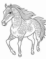 Advanced Horse Coloring Pages sketch template